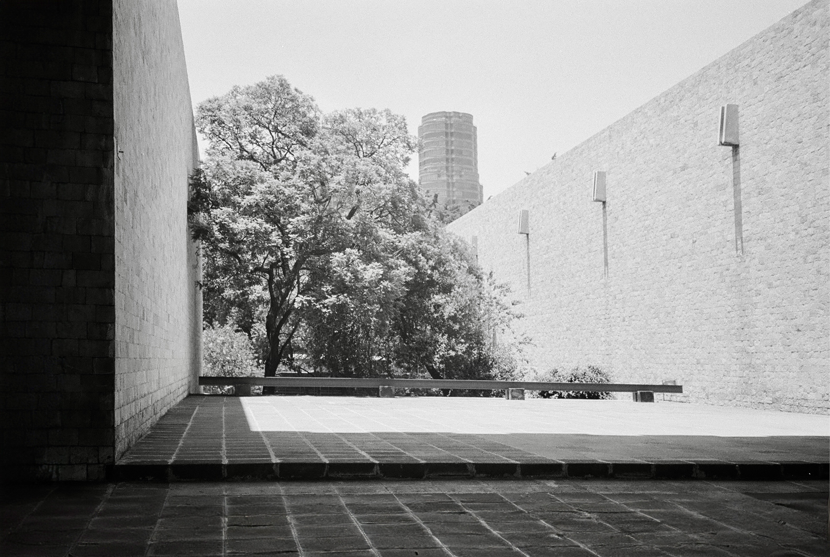 Landscape photograph on film