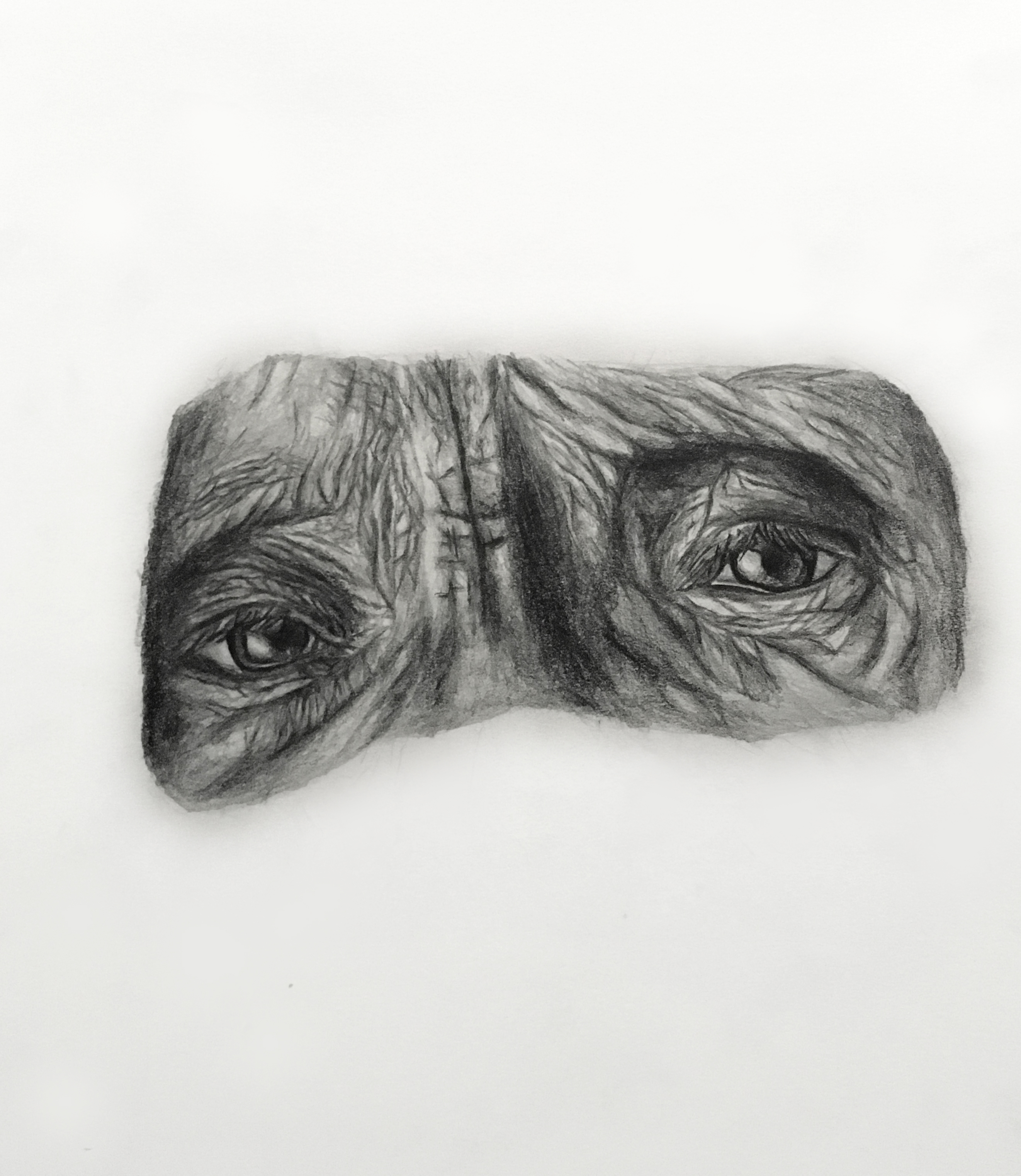 Graphite portrait drawing